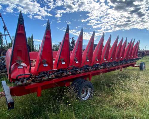 Maicero Ombu 2020 13 a 52. Excelente Estado Engomado con LUC