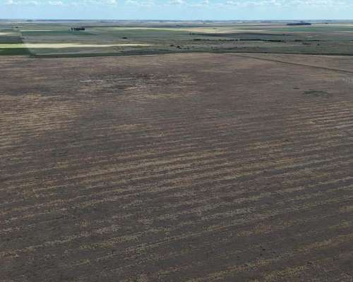 700 Hectáreas Pehuenco, BS. AS.