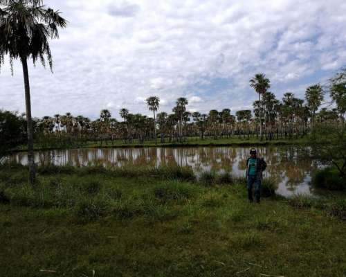 2.895 Ha en Paraguay- Magnífica para Ganadería