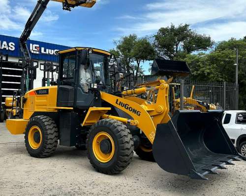 Pala Cargadora Liugong 835n 2M3 Tomamos Usados