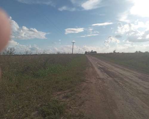 Fighiera Santa FE, 35 Has. Agrícolas