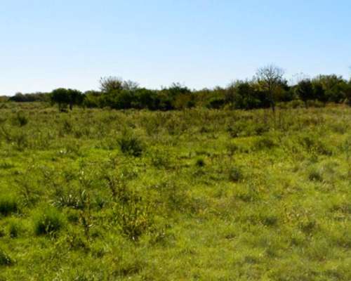 16 HA. Sobre Autovía 14 - Concepción del Uruguay (er)