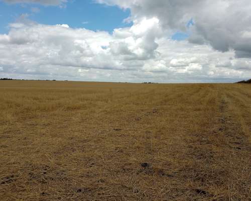 200 Ha Agricolas en Concepcion del Uruguay