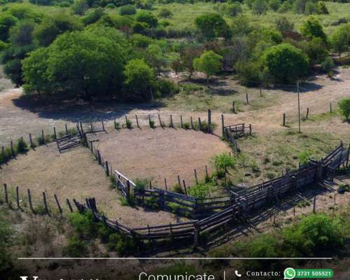 150 Has en Venta - Pcia del Chaco, Villa Berthet