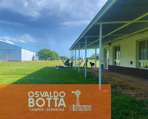 Campo Agricola-ganadero – 900 Ha Guatrache, la Pampa