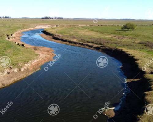 Campo en Venta 106 Has Brandsen. Apto Desarrollo