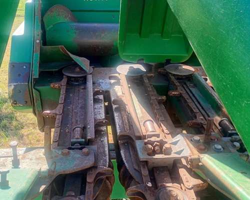 Maicero de Grande de 10 a 52