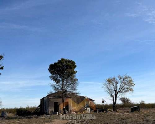15.000 Ha Ganaderas en Lihuel Calel