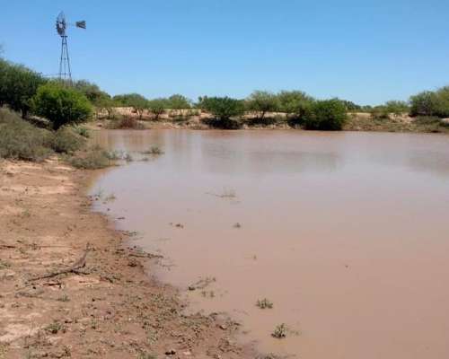 Casnem Inmobiliaria Vende Campo de 9630 HS. con Escritura