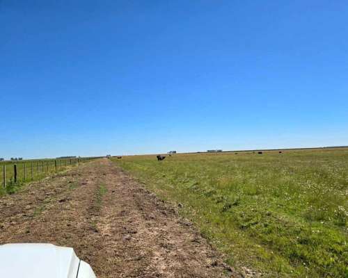 320 Has Mixtas Villegas Cañada Seca