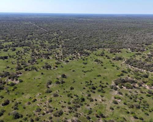 4200 Has Ganaderas los Tábanos Vera Santa FE