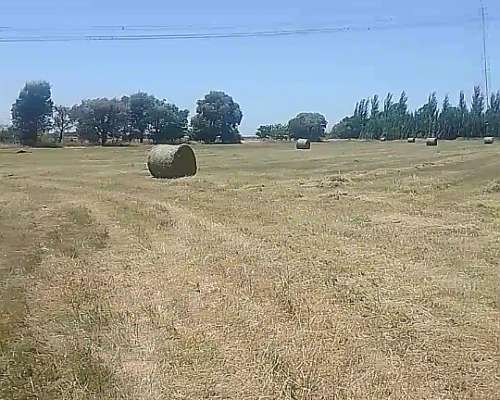 Vendo Fardos y Rollos de 1ra Calidad en Abasto,la Plata