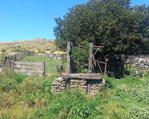 Campo Ganadero en Catamarca el Taco Ancasti