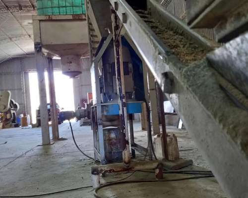 Peletizadora Alfalfa + Molienda