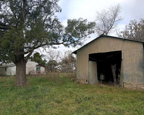 302 HA, Ganadero, Chascomus