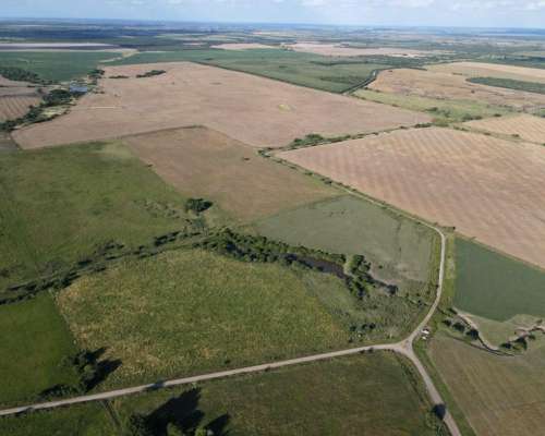 8 Ha Agrícolas Nogoyá