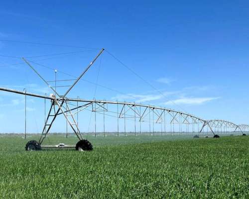 Los Cerrillos, Junín, San Luís - 1.870 Ha