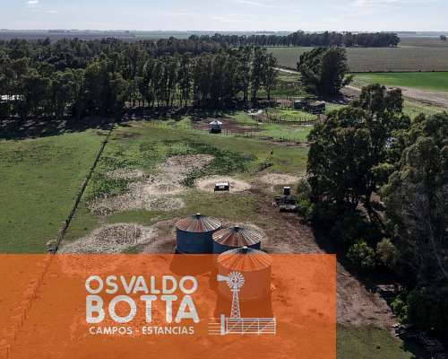 Campo Agricola en Venta, 600 Has Coronel Dorrego, BS AS
