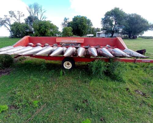 Maicero Mainero 2000 de 11 a 52