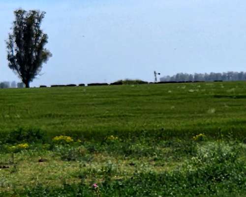Se Alquila Campo Agricola - las Armas. Ayacucho - Ruta N°2