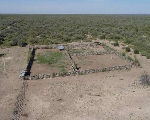 Las Catitas, Santa Rosa, Mendoza - 4.200 Ha