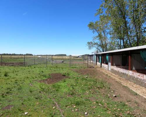 Verónica - 14 Ha - Buenos Aires