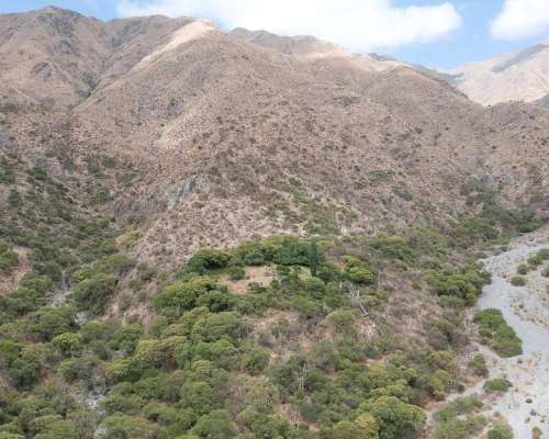 Pcia. de Salta - Cafayate 1465 Has