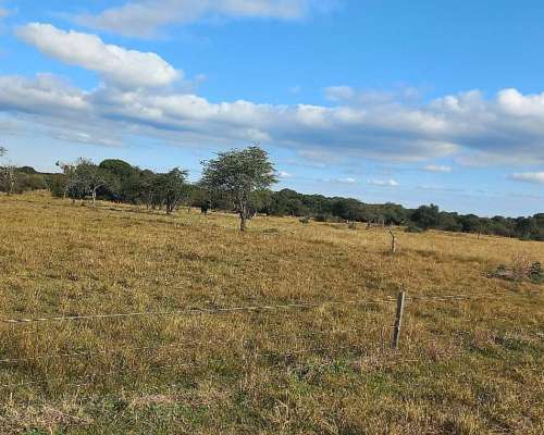 Campo Mixto 42 Hectareas Entre Rios