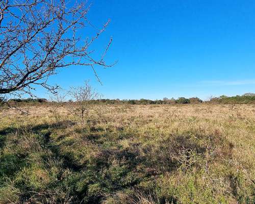 Vendo Campo Ganadero en San Jose de Feliciano