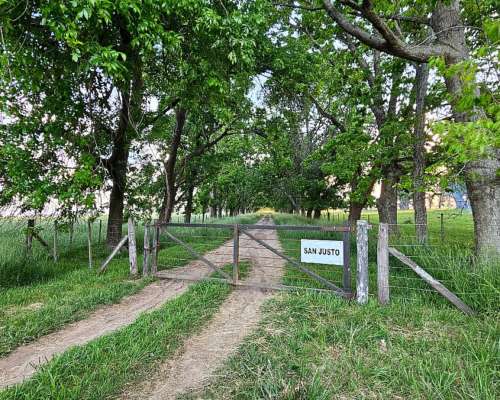 Mercedes, Buenos Aires - 701 Ha