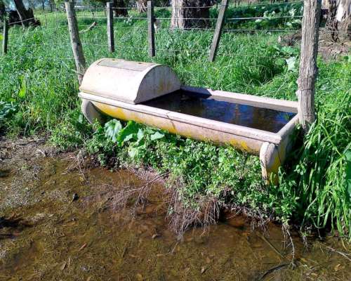 Bebederos con Flotante de Hormigon Completo 2 Unidades