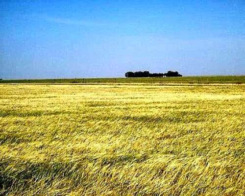 Campo Agricola con 2 Pozos Agua del Acuiferro para Riego