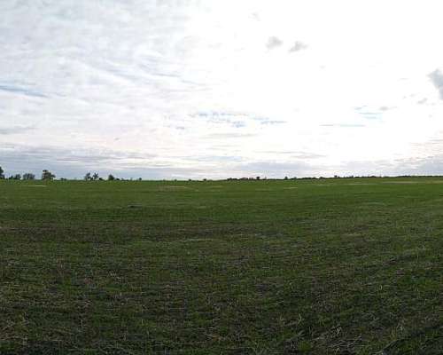 220 Ha en Lucas Gonzalez. Mixto. Buena Parte Agrícola