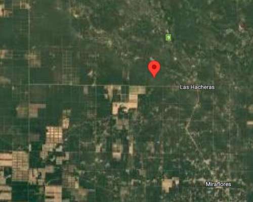 Venta de Campo 2.500 Has - las Hacheras - Chaco - Ganadero