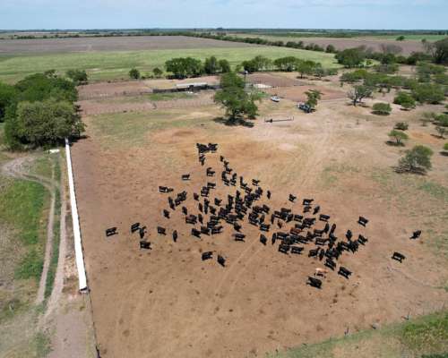 4000 Has Mixtas 235 Has Aptitud Agrícola 3765 Has Ganaderas