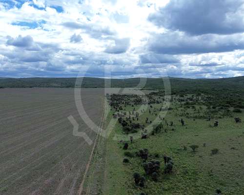 Campo Mixto en Venta- 3.068 Ha en San Pedro Norte, Córdoba