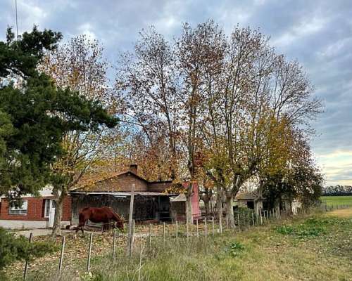 Chacra Sobre Ruta con Mejoras