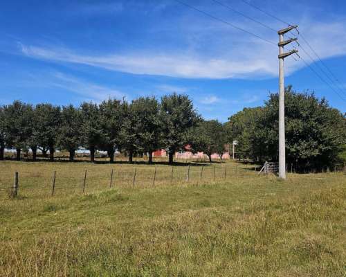 Campo Venta Casalins Pila 268ha