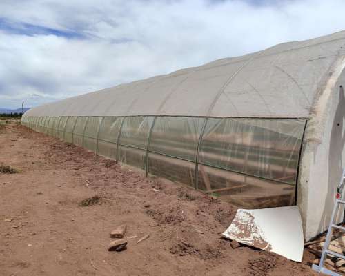 Malargue, Mendonza - 200 Ha