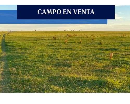 27 Has, Junín BS AS