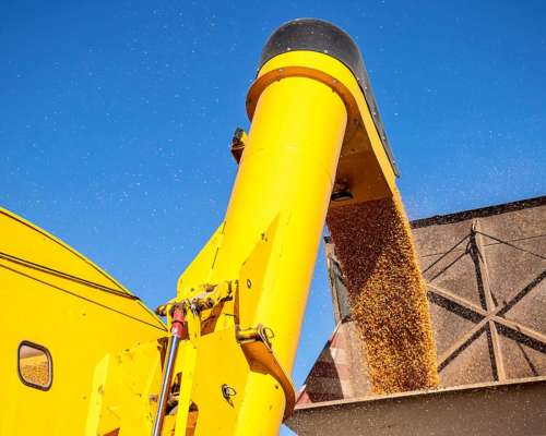 Tolva Autodescargable Ascanelli 30 Toneladas