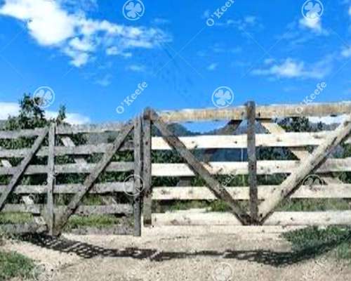 Campo en Venta de 44 Has, Cortaderas, San Luis. Nogales.