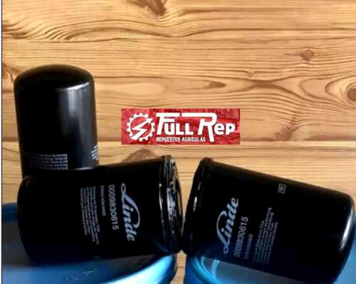 Filtro Linde P/hidrostatica - Original Vassalli