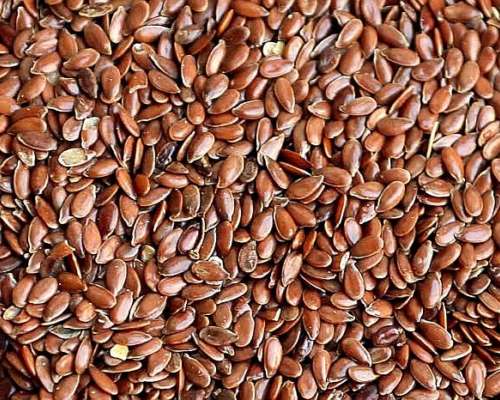 Semillas de Lino Marron