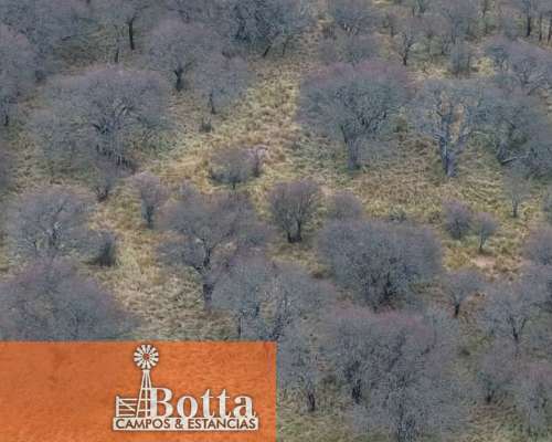 Campo Ganadero en Venta — 3.200 Has Rancul, la Pampa