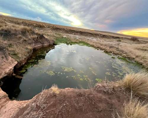 Campo Ganadero a 16 km de la Carolina