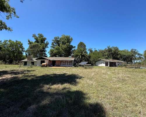 Campo en Venta 2500 HA. Ganadero. General Madariaga Retasado