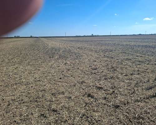 33 Ha SE Venden en Zona de Pilar( Santa FE)