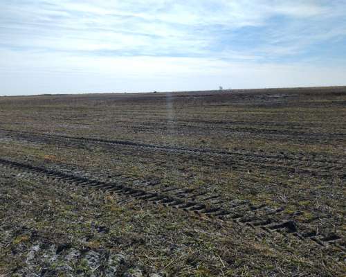 70 Has Agricolas 6000 Zona Marcos Juarez Oportunidad