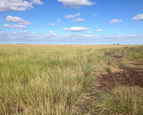 Oportunidad Dos Fracciones de Campo en Sgo. del Estero